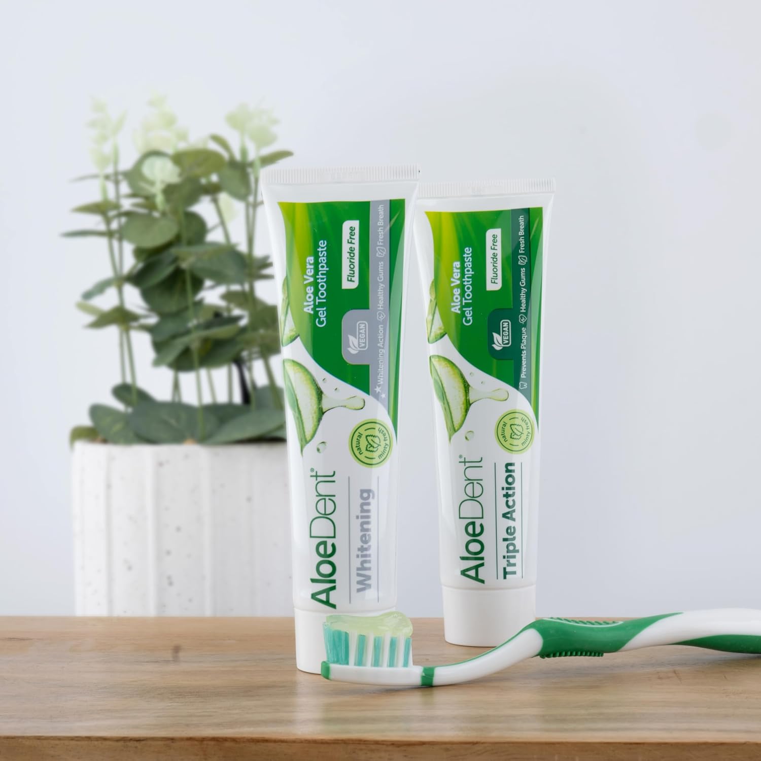 Infographic showing Aloe Dent is fluoride-free and SLS-free with natural ingredients for healthy gums and fresh breath.