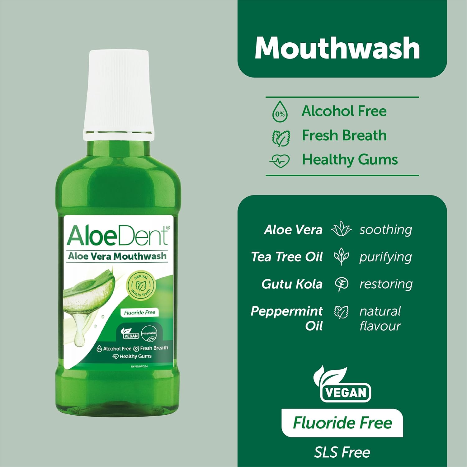 250ml bottle of Aloe Dent Mouthwash showing natural ingredients like aloe vera and tea tree on the label.