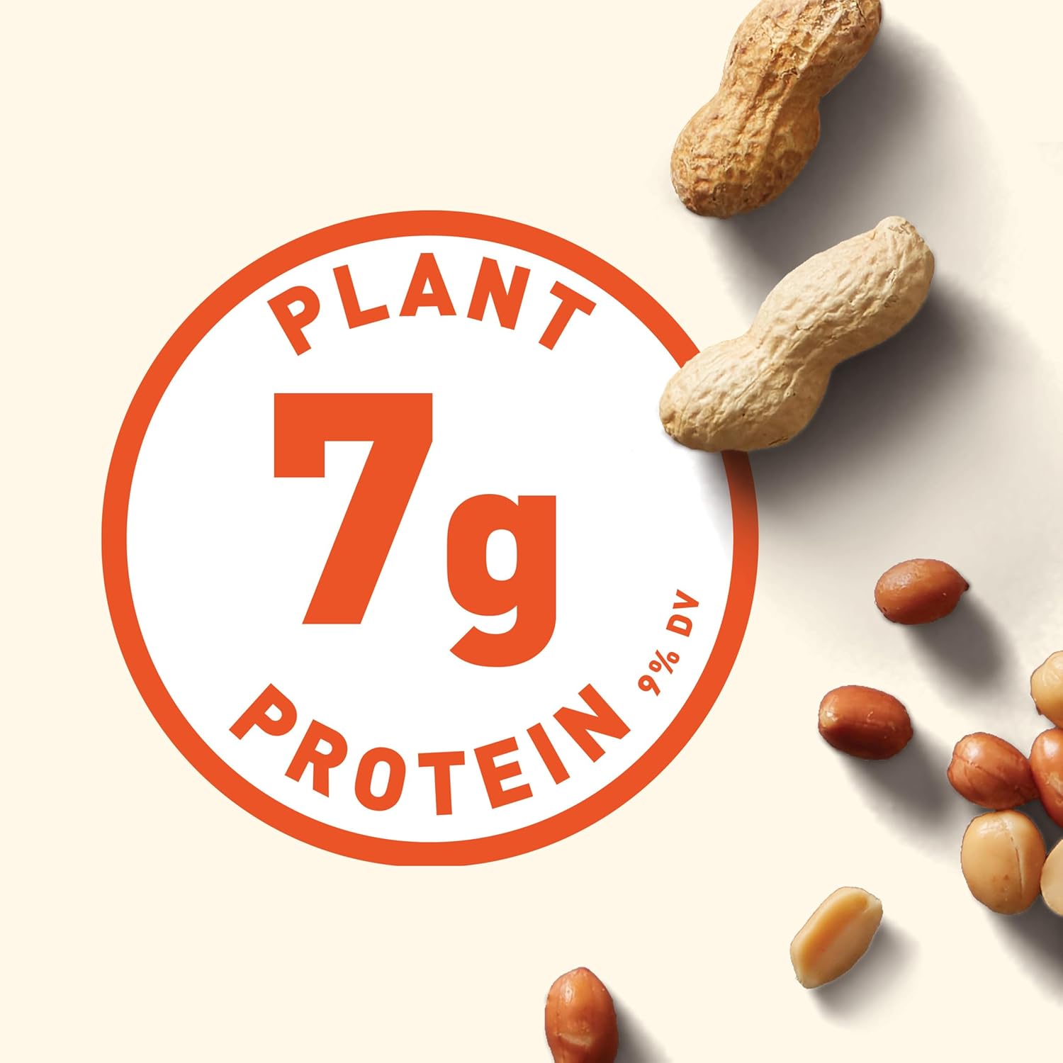 CLIF Nut Butter Bar Chocolate Chip & Peanut Butter 50g (Pack of 5)