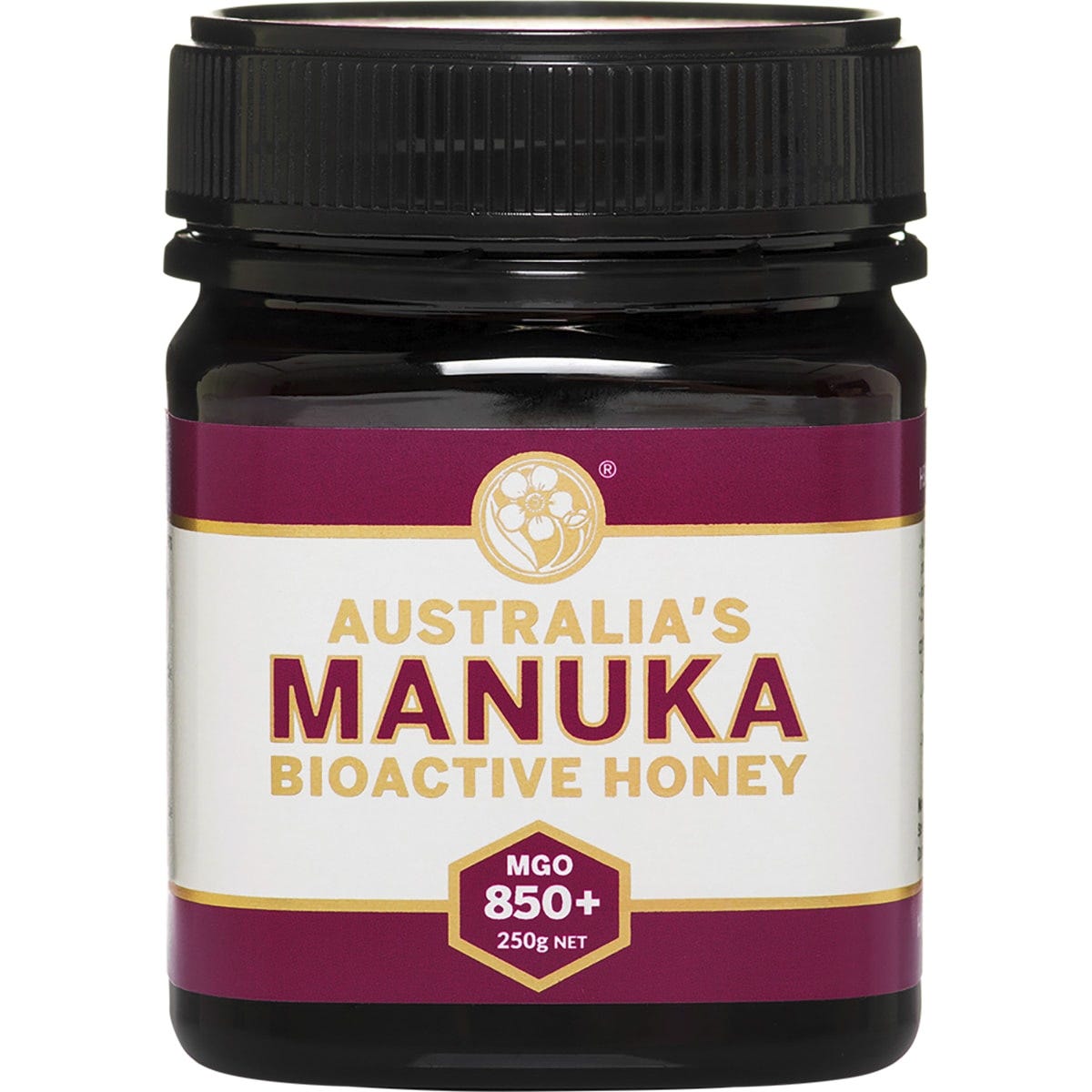 Australia's Manuka Bioactive Honey MGO 850+ in a 250g jar with a black lid and a white and green label.
