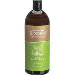 1L bottle of Biologika Everyday Coconut Shampoo featuring a white label with coconut and tropical leaf illustrations.