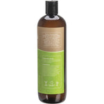 500ml bottle of Biologika Everyday Coconut Shampoo showing organic ingredients on the label against a white background.