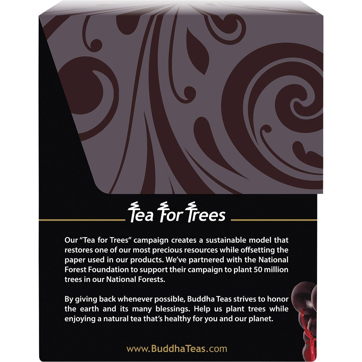Side view of Buddha Teas Organic Elderberry Tea box showing brewing instructions and "Caffeine Free" logo.