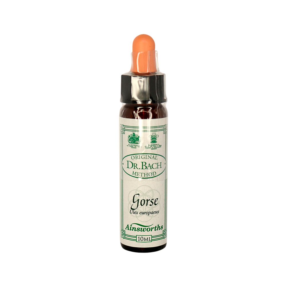 Ainsworths Original Dr. Bach Method Flower Essence Gorse 10ml