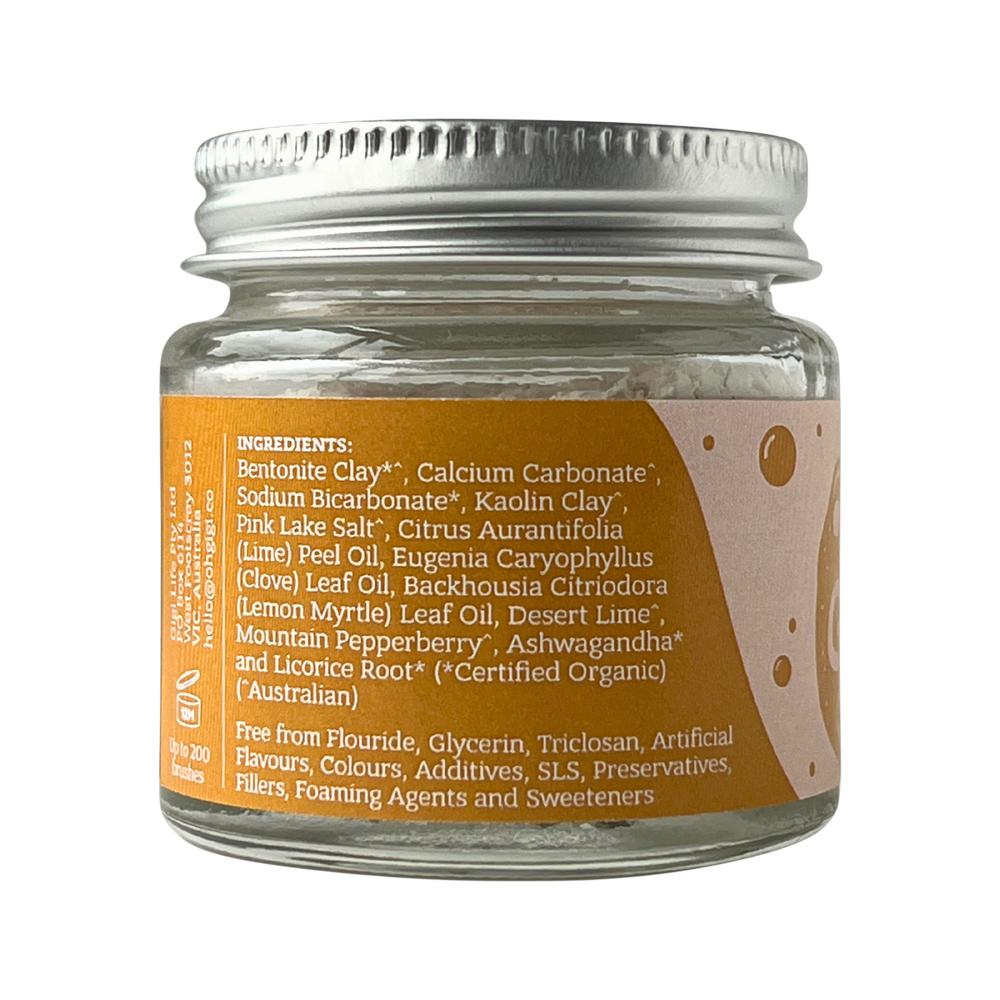 OhGiGi Tooth Powder Native Brush 40g