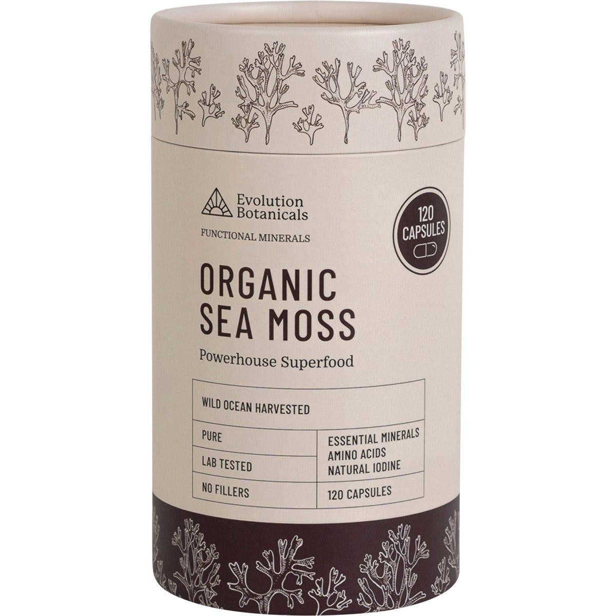120 capsules of Evolution Botanicals Organic Sea Moss in a white tube with a black lid and botanical illustrations.