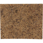 Two EcoCoconut biodegradable scrub pads made from coconut coir and natural rubber on a plain white background.