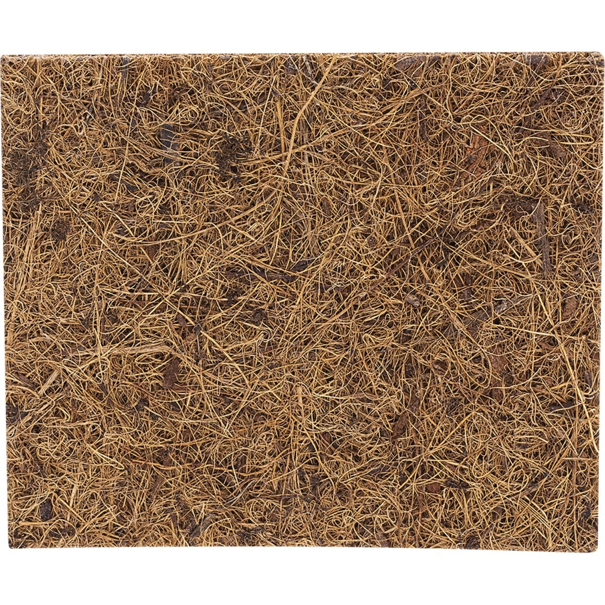 Two EcoCoconut biodegradable scrub pads made from coconut coir and natural rubber on a plain white background.