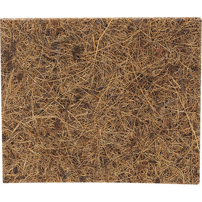 Ecococonut Scourer Scrub Pad 2 Pack Payless 4 Organics