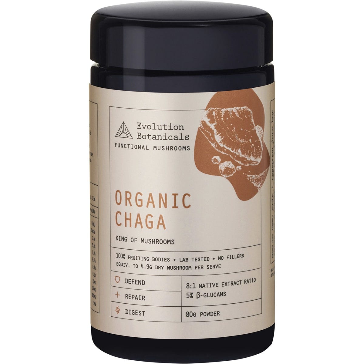 80g jar of Evolution Botanicals Organic Chaga Mushroom extract powder with a black lid on a white background.