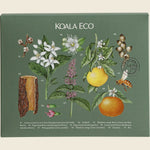 Three Koala Eco bottles: Natural Hand Wash, Dish Soap, and Multi-Purpose Kitchen Cleaner with botanical illustrations.