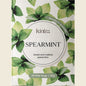 Kintra Blends Herbal Tea Bags Spearmint 25 Pack