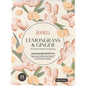 Kintra Foods Herbal Tea Bags Lemongrass & Ginger with Lemon Myrtle 25 Pack