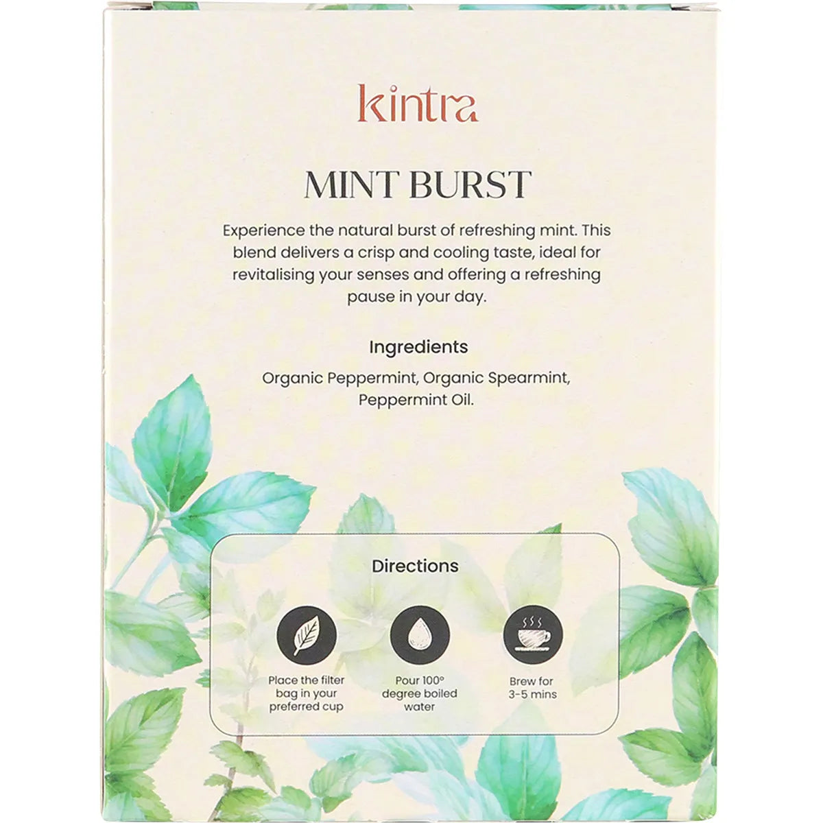 Back of Kintra Foods Mint Burst tea box showing ingredients and brewing instructions for 25 herbal tea bags.