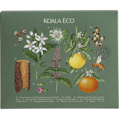 Koala Eco Gift Pack Hand Wash, Laundry Wash & Dish Soap 3 Pack Payless 4 Organics