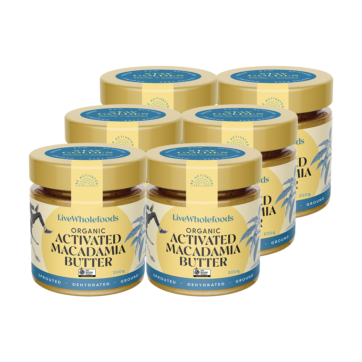 Six jars of Live Whole Foods Organic Activated Macadamia Butter arranged in two rows on a plain white background.