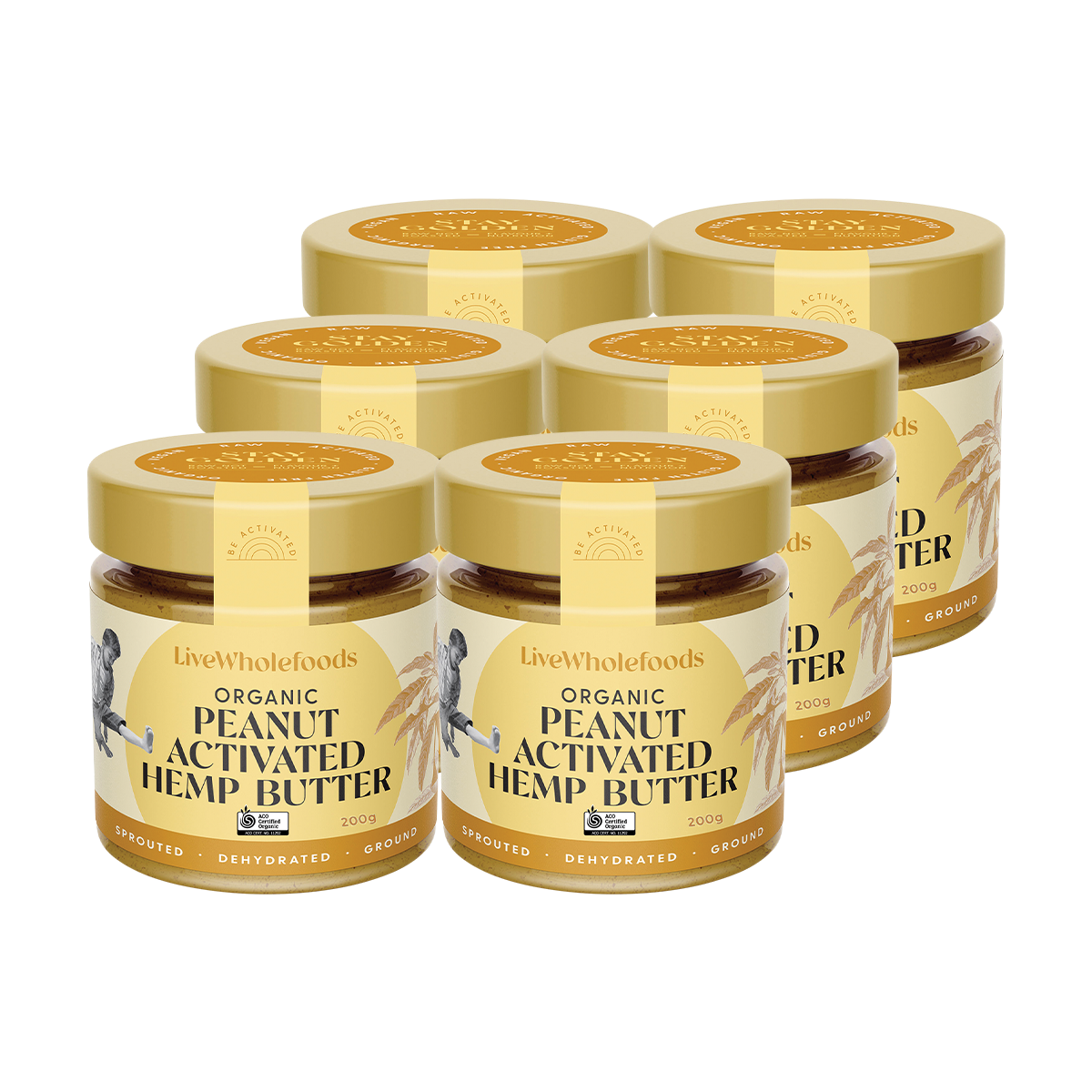 Six jars of Live Whole Foods Organic Peanut Activated Hemp Butter arranged in two rows on a plain white background.