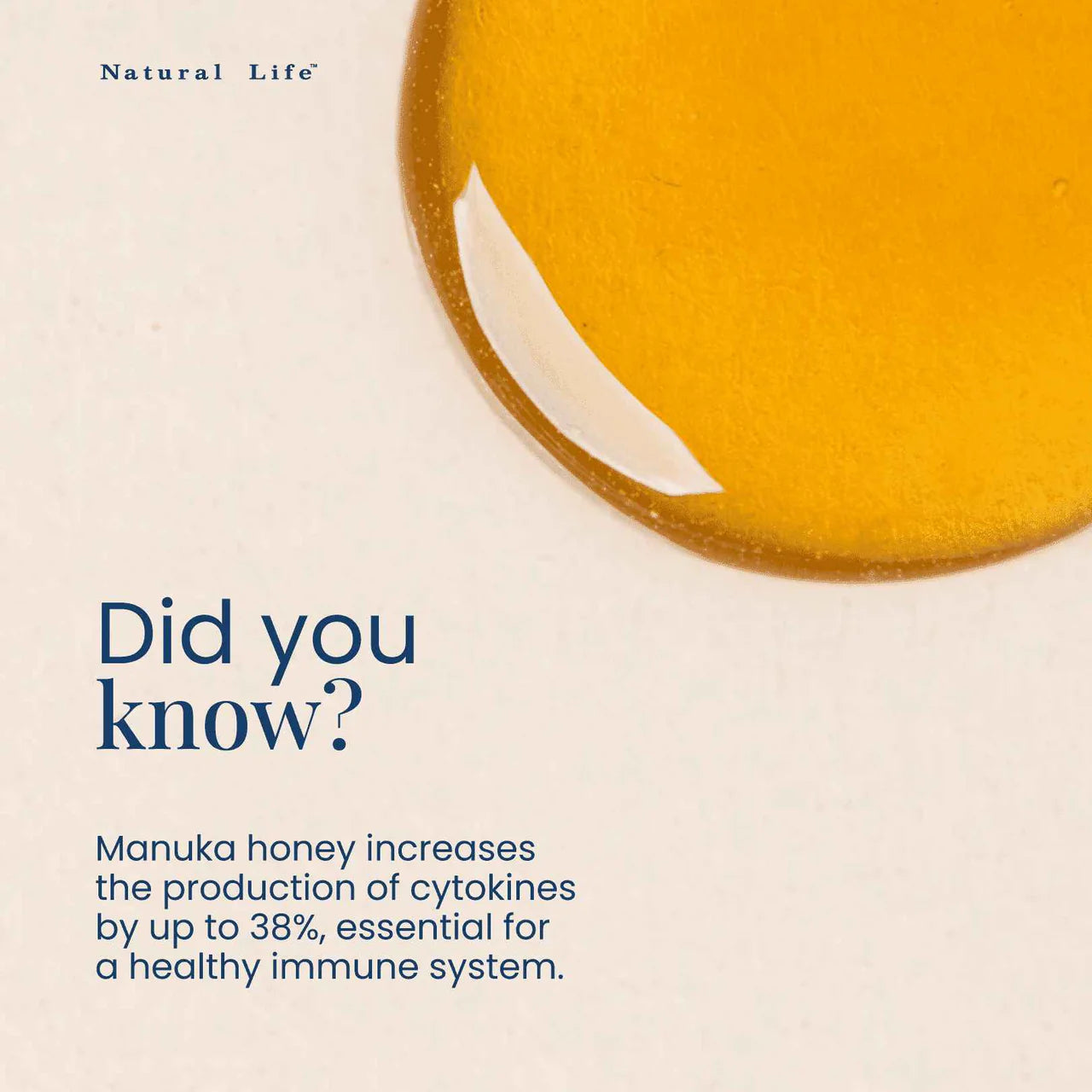 Close-up of Natural Life Manuka Honey MGO 550 showing the black lid and gold label on a white background.