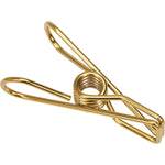 Single gold Ever Eco marine grade stainless steel clothes peg on a white background.