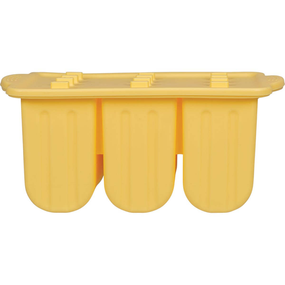 Ever Eco tray of 12 silicone popsicle moulds with a lid and wooden sticks on a white background.