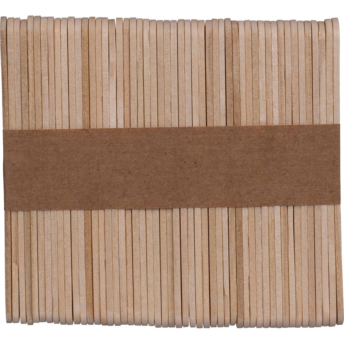 Ever Eco 12-hole silicone popsicle mould tray shown with a matching lid and wooden sticks on a white background.
