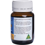 Back view of Solutions 4 Health Oil of Wild Oregano 30 Vegicaps bottle showing directions and ingredient information.