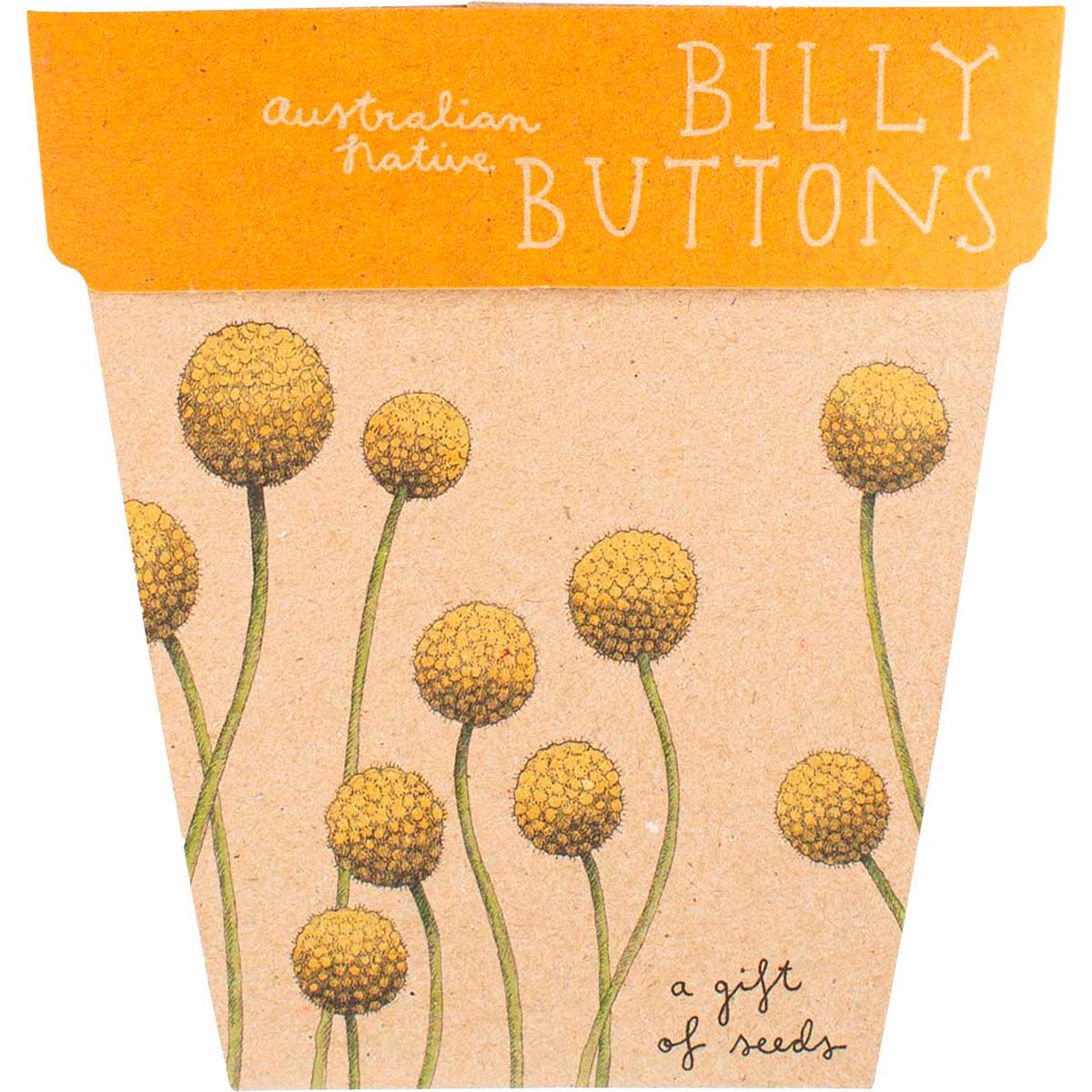 Sow n Sow Gift of Seeds Billy Buttons packet with yellow flower illustrations on a brown recycled card background.