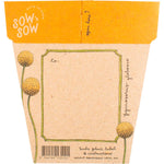 Back of a Billy Buttons seed packet with yellow floral art and planting instructions on a brown card background.