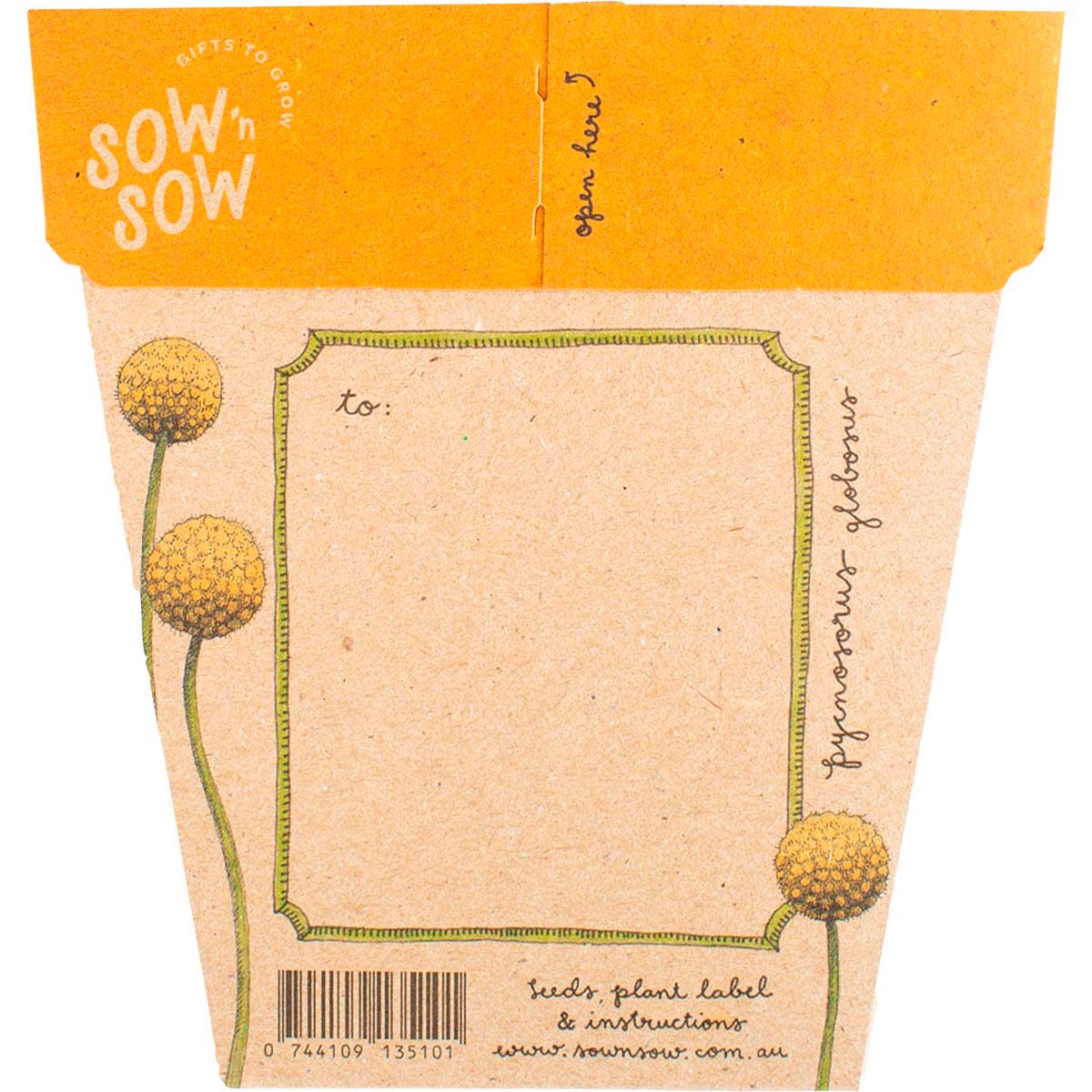 Back of a Billy Buttons seed packet with yellow floral art and planting instructions on a brown card background.