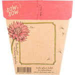 Back of a Sow 'n Sow Everlasting Daisy gift card featuring planting instructions and botanical illustrations.