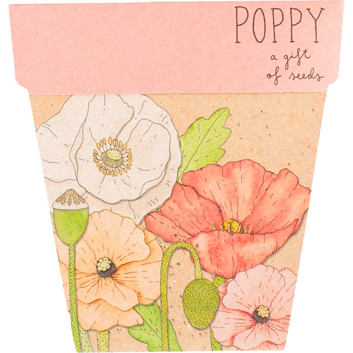 Illustrated Poppy Gift of Seeds greeting card with red flowers and a kraft envelope on a white background.
