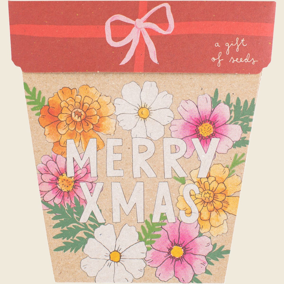 Sow 'n Sow Christmas Blooms Gift of Seeds pack with festive floral illustrations and gold foil details.
