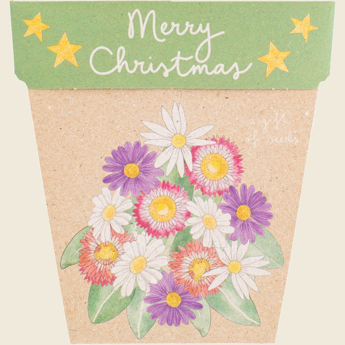 Christmas Native Daisies Gift of Seeds featuring a festive illustrated card with Australian wildflowers.