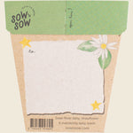 Back of the Christmas Native Daisies Gift of Seeds card featuring planting instructions and a space for a personal message.