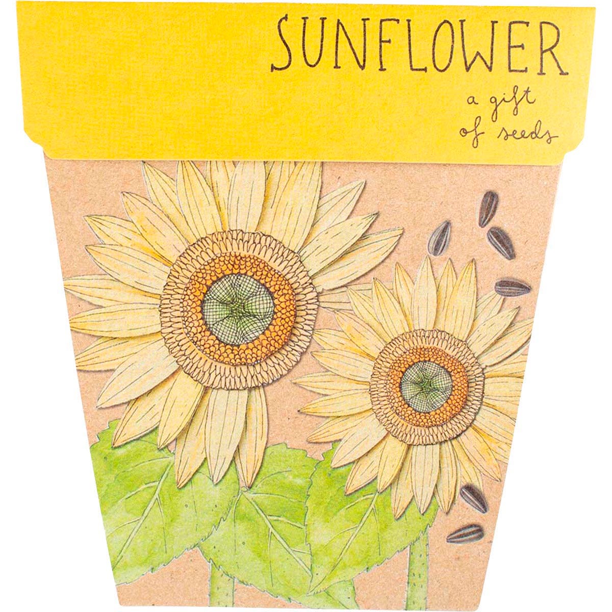 Sow 'n Sow Gift of Seeds Sunflower featuring a bright yellow sunflower illustration on a recycled card packet.