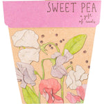 Sow n Sow Gift of Seeds Sweet Pea packet featuring colorful floral illustrations by Daniella Germain.