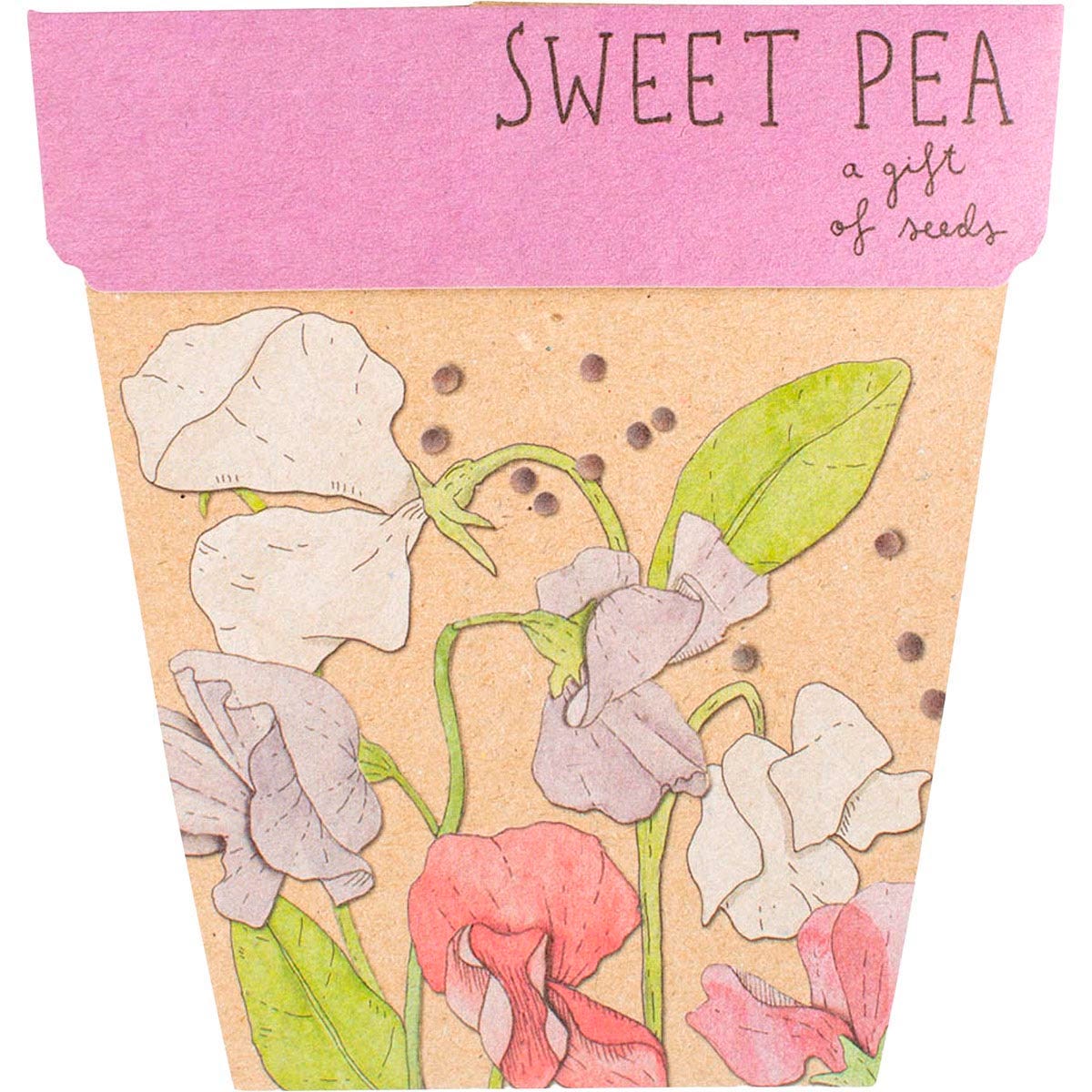 Sow n Sow Gift of Seeds Sweet Pea packet featuring colorful floral illustrations by Daniella Germain.