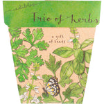 Sow 'n Sow Trio of Herbs Gift of Seeds featuring botanical illustrations of basil, parsley, and coriander.