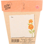 Back of a Secret Garden Gift of Seeds card showing planting instructions, a plant label, and seeds in a recycled envelope.
