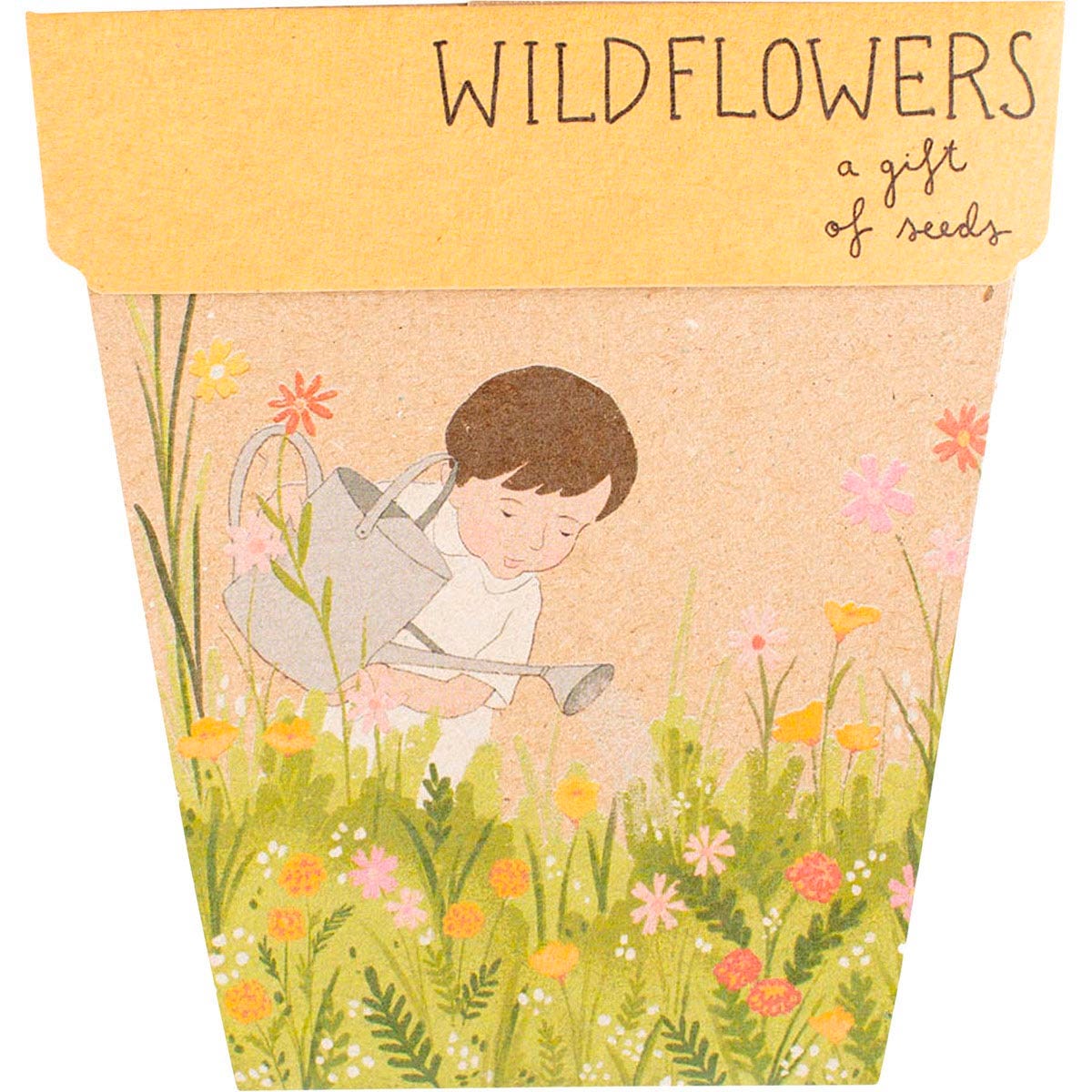Sow n Sow Gift of Seeds Wildflowers packaging with an illustration of a young boy gardening.