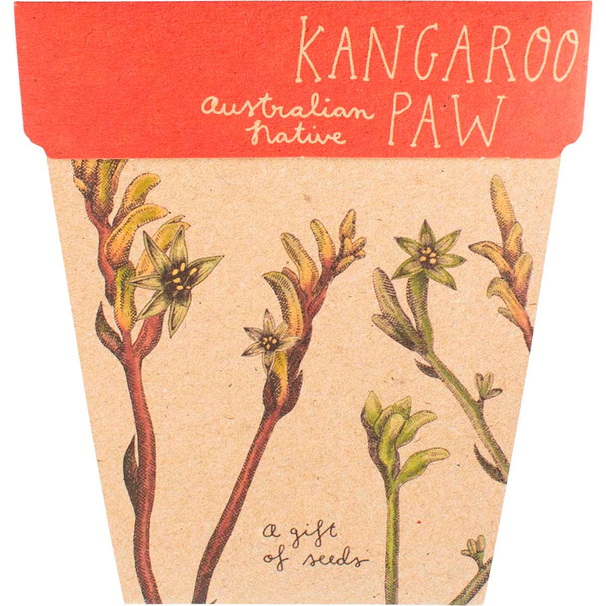Sow n Sow Gift of Seeds Kangaroo Paw packet with red flower illustrations and a wooden plant label.