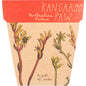 Sow 'n Sow Gift of Seeds Kangaroo Paw