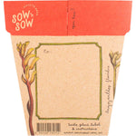Back of Sow 'n Sow Kangaroo Paw seed packet with planting instructions and a recycled kraft envelope.