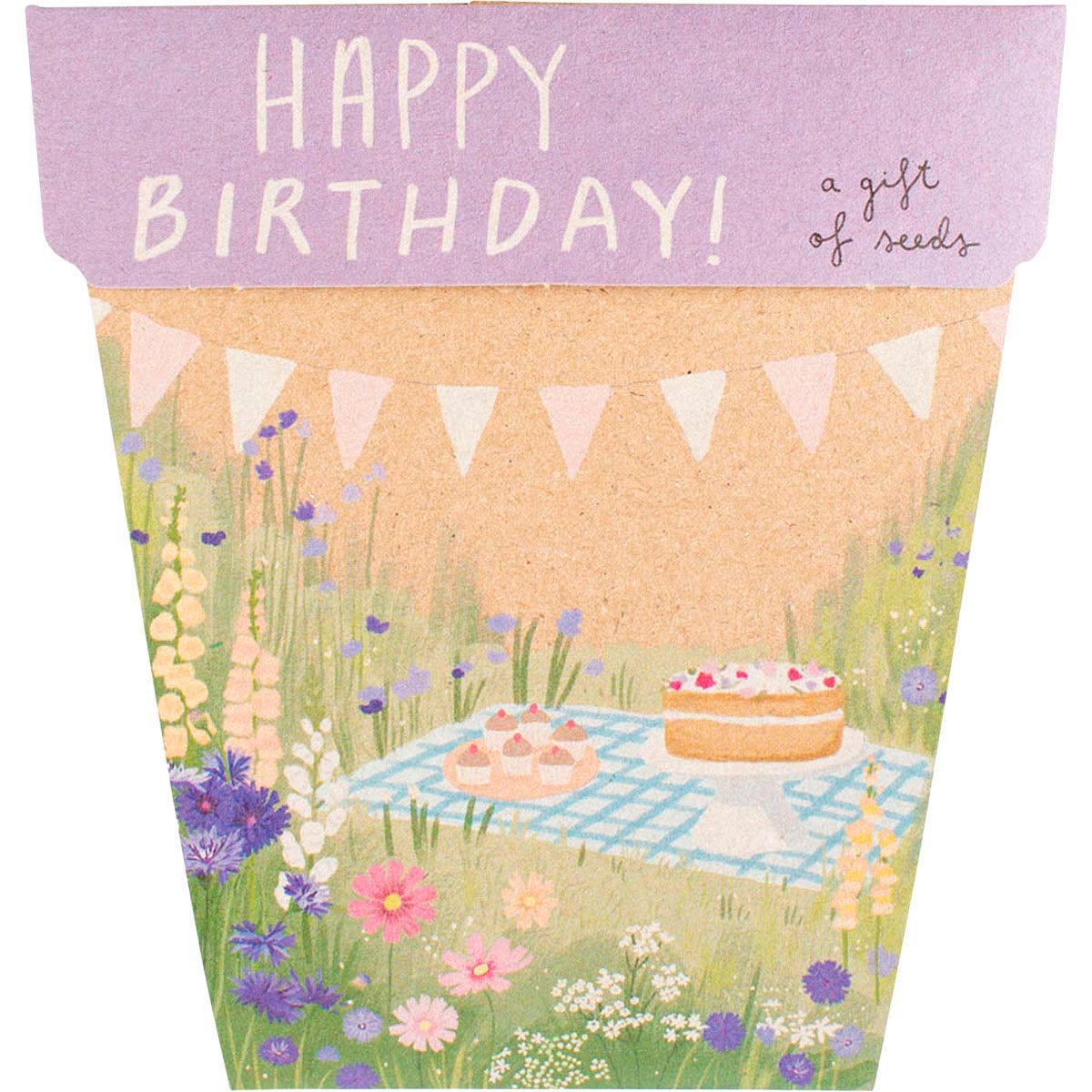 Happy Birthday Picnic Gift of Seeds featuring a field of flowers illustration with snapdragon, cosmos, and cornflower seeds.