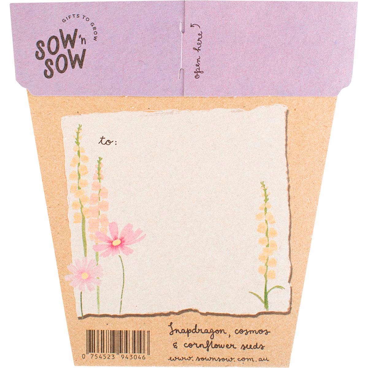 Back of Sow 'n Sow Happy Birthday Picnic seed packet with growing instructions for snapdragon, cosmos, and cornflower.