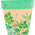 Sow 'n Sow Gift of Seeds Herbs packet featuring botanical illustrations of parsley, coriander, and basil.
