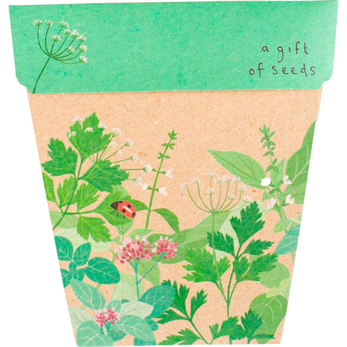 Sow 'n Sow Gift of Seeds Herbs packet featuring botanical illustrations of parsley, coriander, and basil.