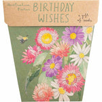 Birthday Wishes Gift of Seeds pack featuring botanical illustrations of native daisies and gum leaves.