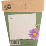 Back of a Sow n Sow Birthday Wishes seed pack with sowing instructions and a recycled kraft envelope.