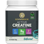 300g tub of Sunwarrior Active Creatine Monohydrate Unflavoured powder on a white background.